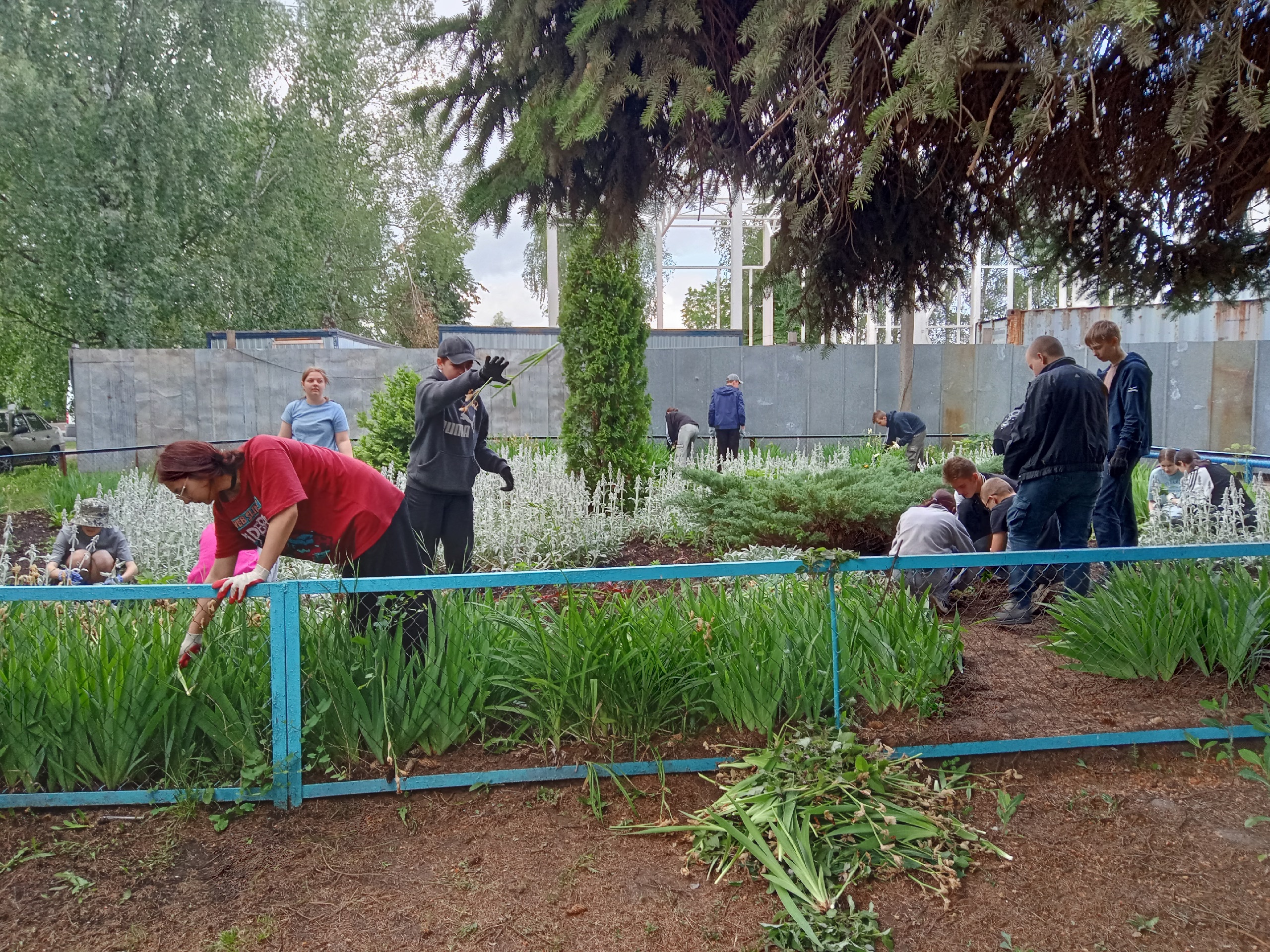 Фотографии летнего лагеря.