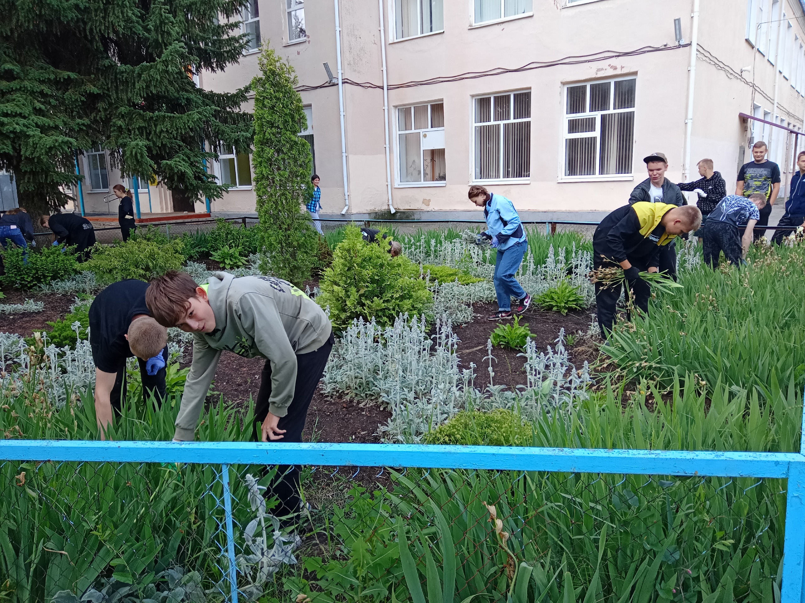 Фотографии летнего лагеря.