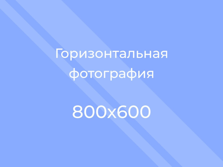 Легкоатлетический кросс среди школьных спортивных клубов..