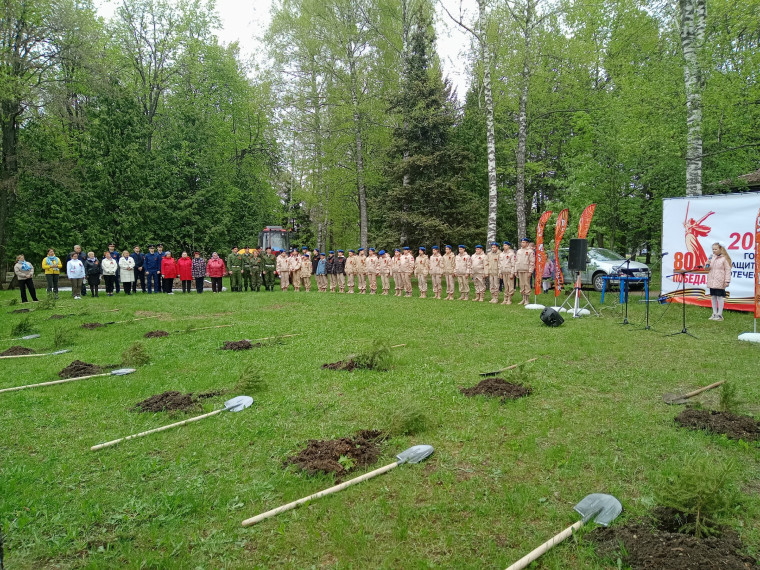 Зеленый щит Победы.